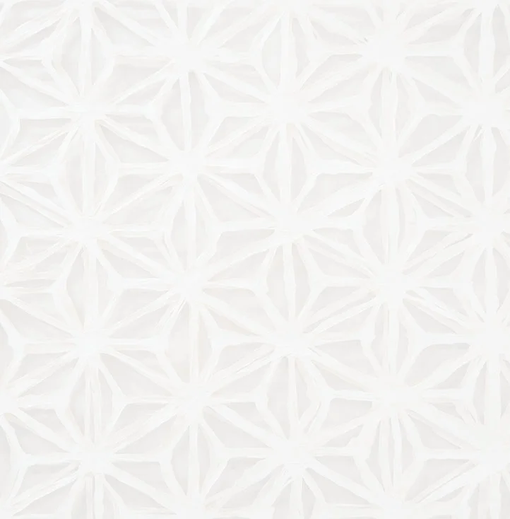 Common white background with geometric texture. - Home Common Background. Webster, TX