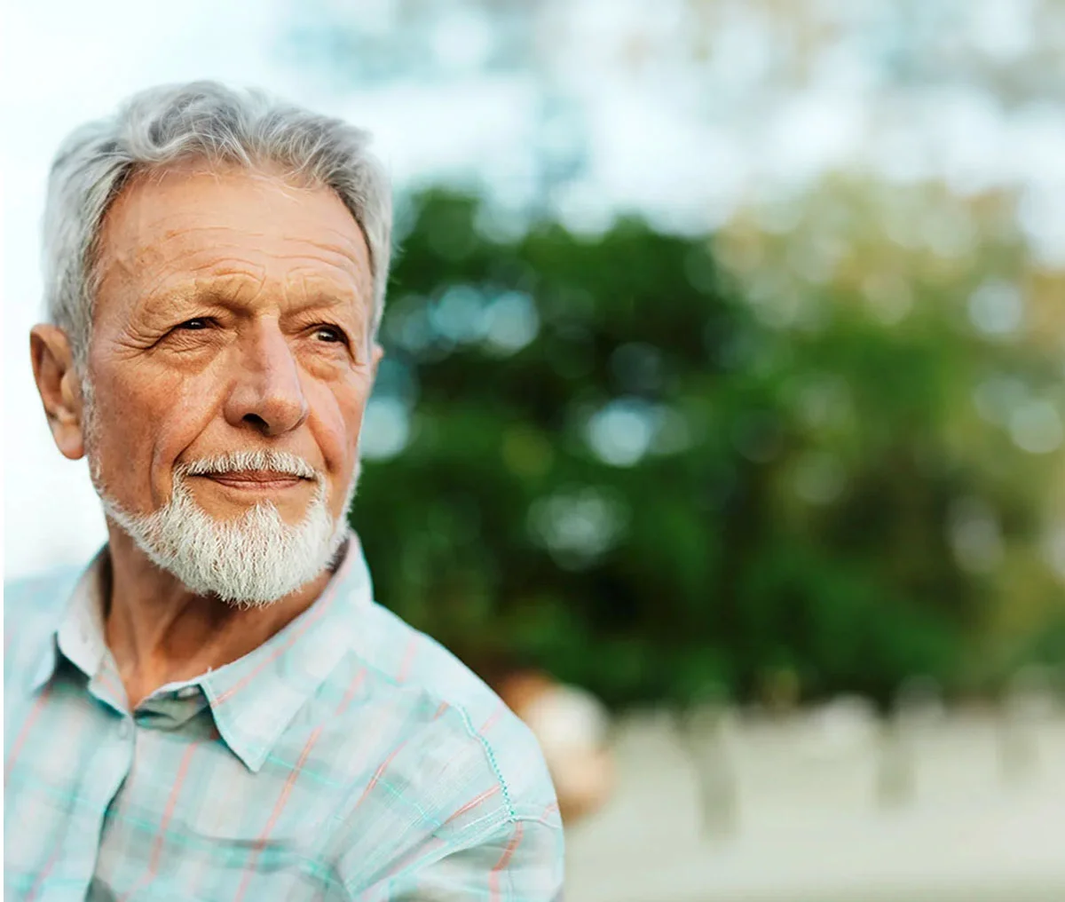 A close-up shot of an older white man with grey hair, dressed in a light blue and pink grid-patterned button-down shirt with a collar. He faces the camera but looks slightly to the side, his expression neutral—neither smiling nor frowning—giving him a calm and contemplative appearance. - Rezum